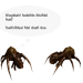 irc